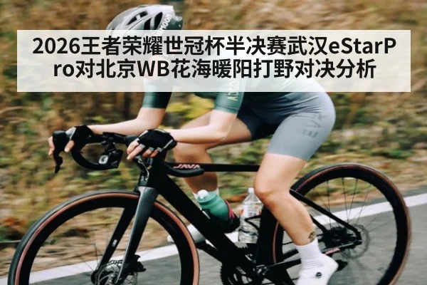 2026王者荣耀世冠杯半决赛武汉eStarPro对北京WB花海暖阳打野对决分析