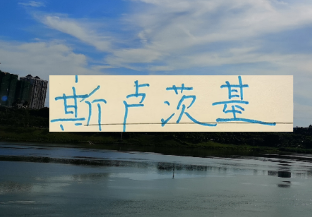 不怕盖伊不进球 ！ 就怕这哥们在申花发飙！进塞内加尔国家队